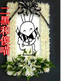 傻喵和二黑
