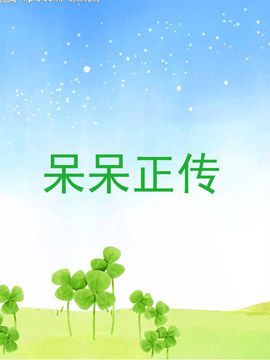 呆呆正传
