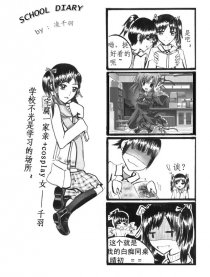 SCHOOL   DIARY