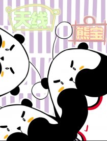 天线熊宝