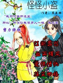 怪怪小盗