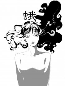蛾子