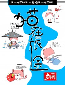 猫在旅途