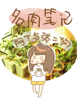 多肉笔记