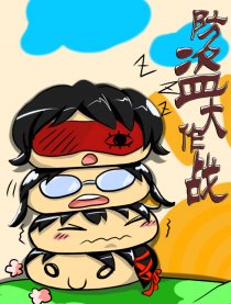 防盗大作战