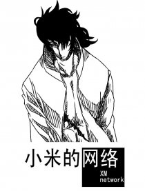 小米的网络