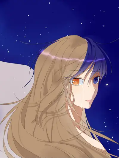 夏夜风起
