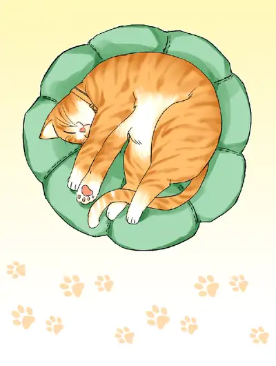 藏貓貓