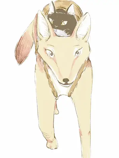 别跟着我