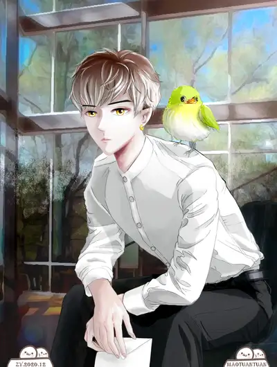 毛团团