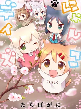 猫之寻的日常