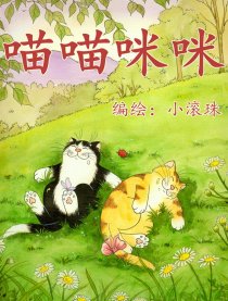 喵喵咪咪