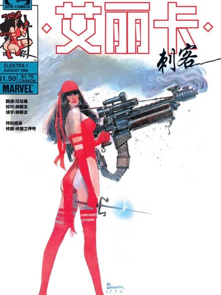 艾丽卡刺客